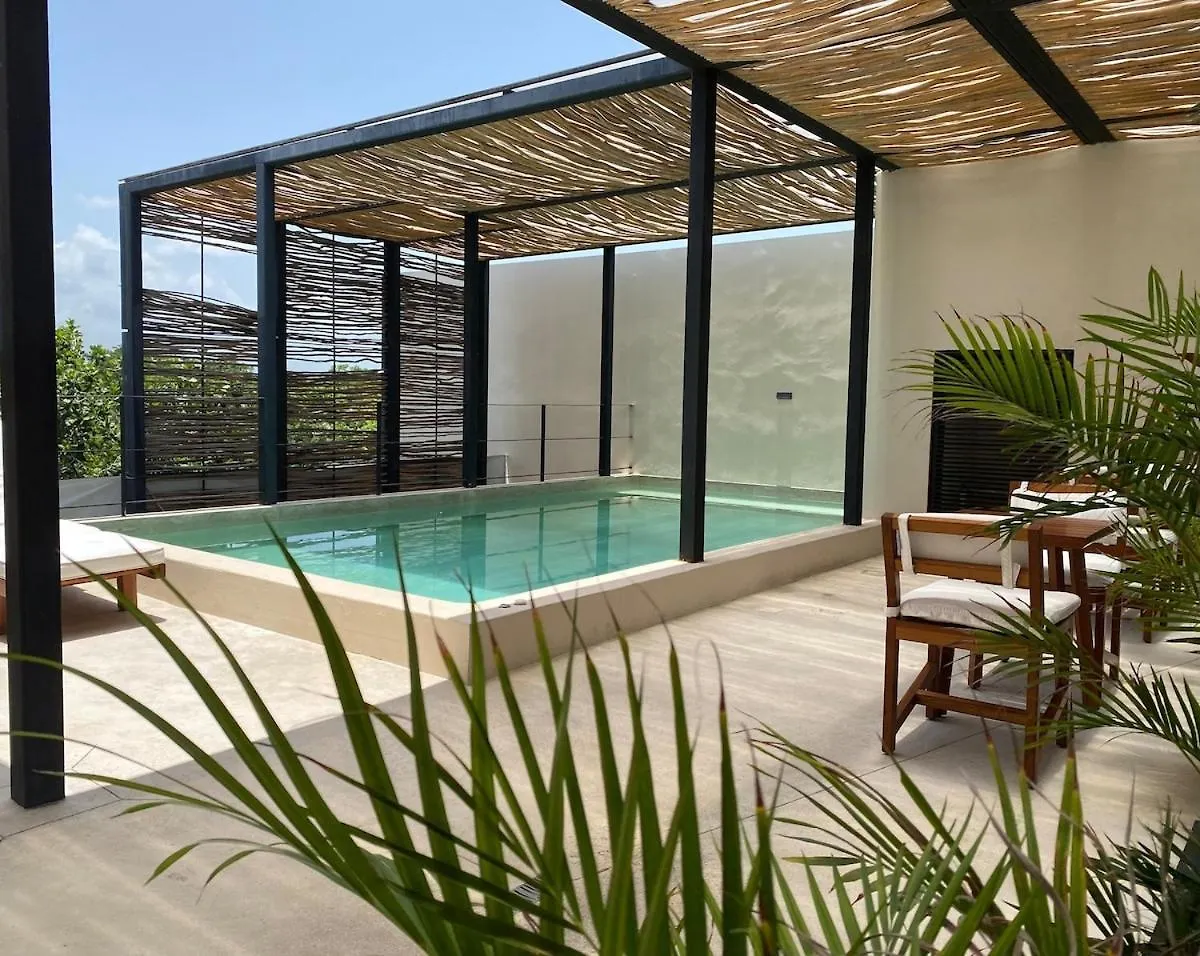 Διαμέρισμα Bohemian La Veleta 3 Bdr W Rooftop Pool Τουλούμ